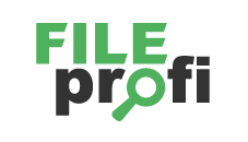 FileProfi - профессиональное восстановление данных в Братске
